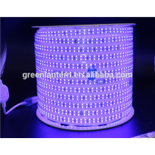 220V 110V flexible led strip 180led/m IP67 2835 led strip light with good price